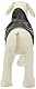 TRIXIE wasserabweisender Hundemantel Mantel Orléans, XS: 30 cm, schwarz - 30512