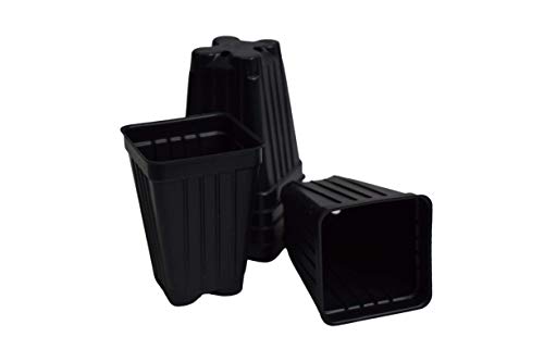 Small 2.2" Square Extra Deep Landmark Nursery Pots - Press Fit (100)