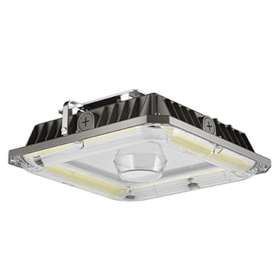 LED Canopy Lights, 100W, 14000LM, 5000K, 0-10V Dimmable, 120-277VAC, IP65 Waterproof, UL Listed, Commercial LED Canopy Lights Outdoor for Gas Station, Carport, Parking Garage, Warehouse, 1 Pack