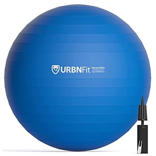 Exercise Ball (65 CM) for Stability & Yoga - Workout Guide Incuded - Professional Quality (Blue)