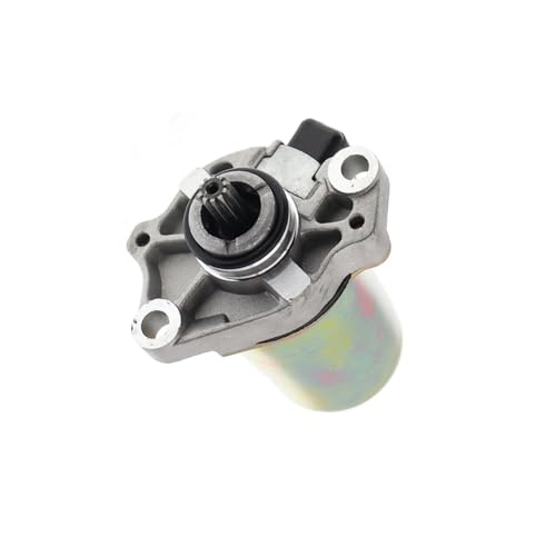 Motor de arranque para solucionar fallos de encendido en ZIP 50 4