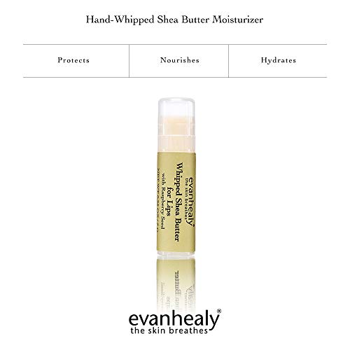 Evanhealy Whipped Shea Butter For Lips | Organic Red Raspberry Seed Oil, Beeswax, & Argan Oil | Moisturizing Lip Balm (3 Pack) #TOP1