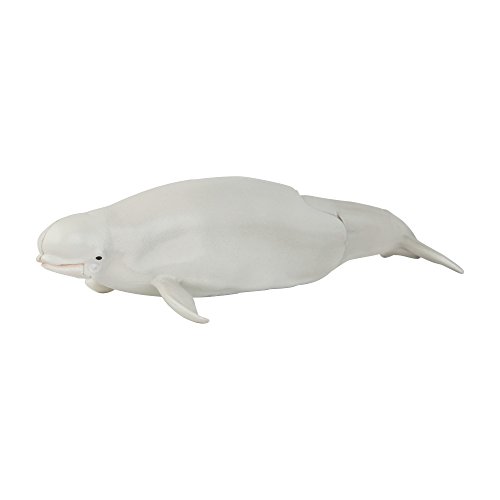 TOMY- Ania Animal Pack, Whale Beluga Balena Articolata Mini Figura, T16066