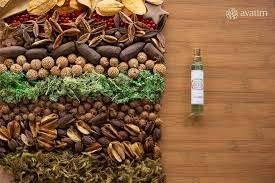 SACHE SEGREDOS DA FLORESTA POUT POURRI