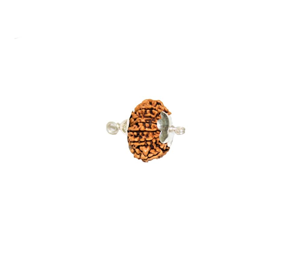 BHAKTI SHRINGAR 13 Mukhi Rudraksha Original Certified Lab Test & X-ray Report with Silver Capping| 13 Face Rudraksha Pendant 1