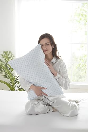 Set 2 Almohadas viscoelásticas tamaño Queen ajustables miniatura 2