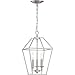 Quoizel AVY5203BN Aviary Pendant Ceiling Lighting, 3-Light, 180 Watts, Brushed Nickel (17"H x 10"W)