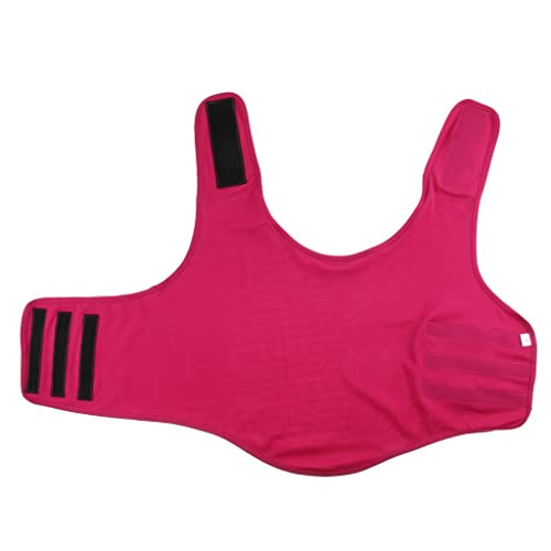 Dog jacket de alta comodidad Ioensy para paseos sin tirones 7