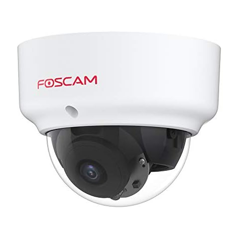 Foscam D2EP Outdoor PoE IP Security Camera - IK10 Vandal-Proof Dome - Full 1080P HD with Human Detection, 20M Night Vision - View and Playback Anywhere on App - Compatible with Alexa and Google Cover