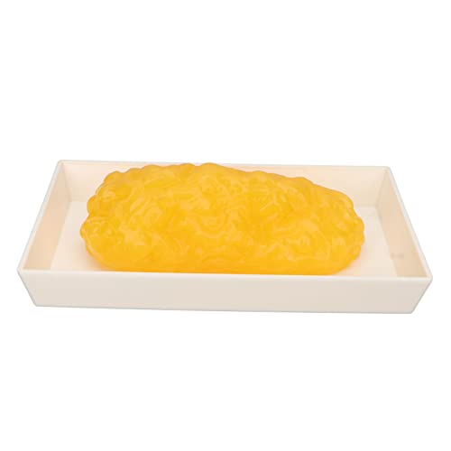 Human Body Fat Replica, 1lb Human Fatty Tissue Demonstration Model for Nutritionist Scien Course