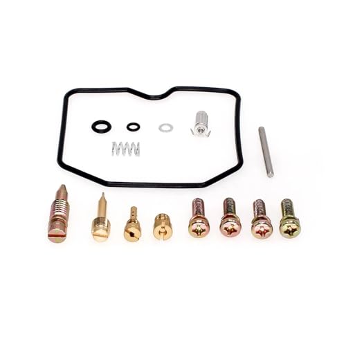Kit de réparation de reconstruction de carburateur 500 EN500 avec joints et pointeaux renforcés