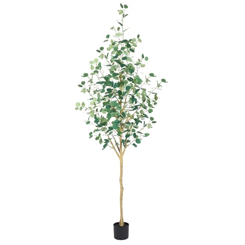 best indoor tall plants for low light