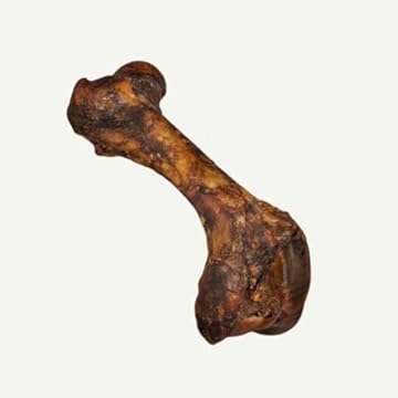 Churraspet Osso Femur Suíno Defumado para Cães Natural