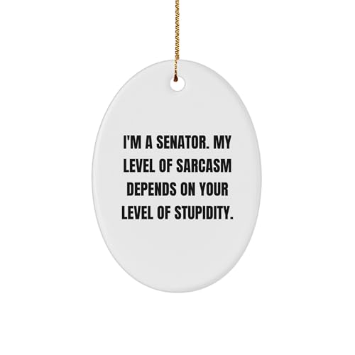 Funny Gifts from Friends and Family for Senator Oval Ornament, Christmas Unique Ideas for Men and Women