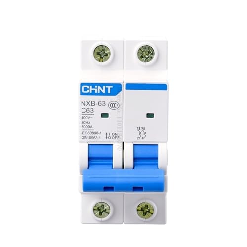 Disjoncteur miniature NXB-63 résout les surcharges de réseau 2P