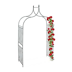 Relaxdays rozenboog metaal, rankhulp voor klimplanten, decoratieve punt, weerbestendig, HBD 270x144x60 cm, donkergroen