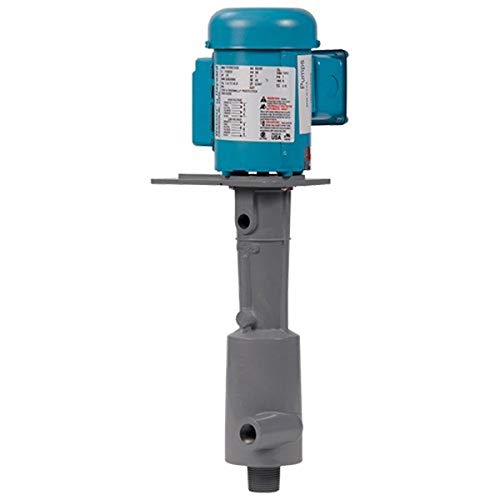 Hayward 1S8GX0008 Series D & S Vertical Immersible Pump, CPVC, 1 Phase, 1-1/2 HP, 1-1/2