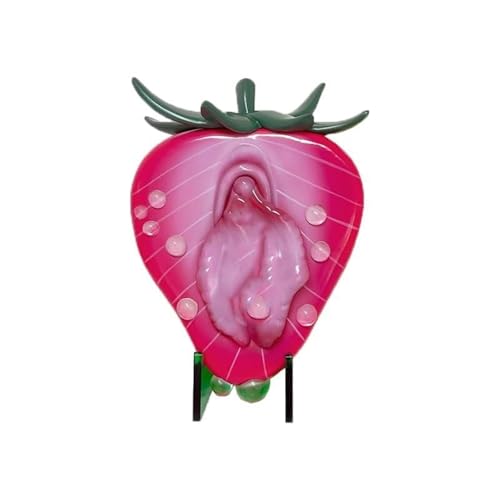 Système reproducteur humain en modèle d'anatomie avec modèles de vulve fraise