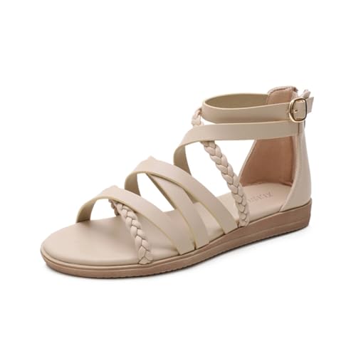 [Z_ `V] XgbvT_ fB[X  ؂ Ȃ ₷ ǐF 23.0cm  r[`T_ [q[ r tbg ʋC {w~A  ʋ ʊw   ItBX q I[vgD 傫TCY