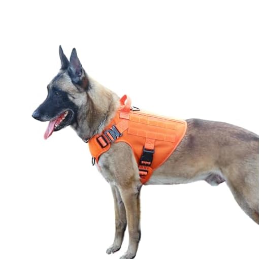 ICEFANG Tactical Dog Harness ,2X Metal Buckle,Working Dog MOLLE Vest with Handle,No Pulling Front Leash Clip,Hook and Loop Panel (Large (Pack of 1), Reflective Orange)