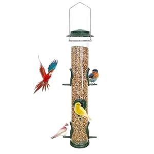 MIXXIDEA Metal Bird Feeder with 6 Feeding Ports, Bird Feeders for Outdoor Hanging, 16 inch Tube Bird Feeder with Steel Hanger & Hard Plastic, Attracting for Wild Birds (Green)