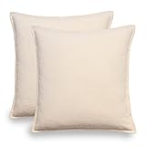 VOILYBIRD Pack of 2 Decorative Chenille Solid Accent Throw Pillow Covers, Modern Pillow Covers for Sofa Couch Bed Living Room Home Decor, 18x18 Inch, Cream