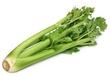 Indica Super Agri Green Celery 50 Seeds x 2 Kitchen Garden Pack (B01E2BKU7U) Amazon Price History, Amazon Price Tracker