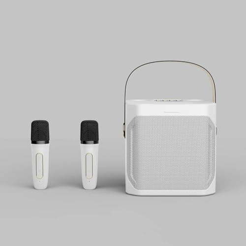 Enceinte bluetooth karaoké haute puissance avec double micro pour chanter en stéréo 360