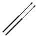 Rear Liftgate Hatch Lift Supports Struts Shocks Gas Springs for 1987-1995 Nissan Pathfinder,1989-1990 Nissan 240SX,1987-1995 Nissan Torrano 4758 SG225002,Pack of 2