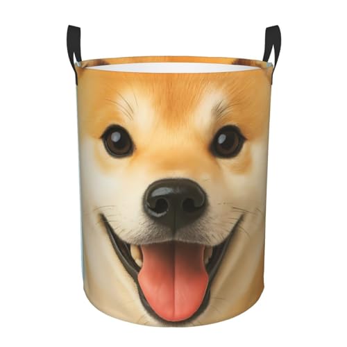 Č  6 ꕞ[󂩂 Vv[ S