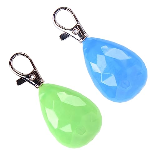 Toyvian Hunde Lichtanhänger 2er Set Blau Grün