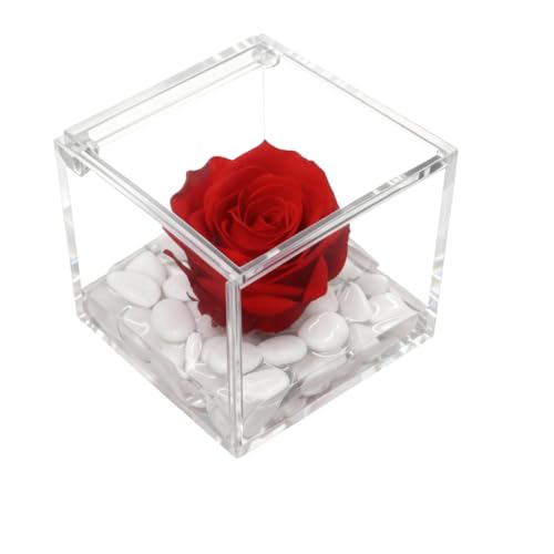 PremiumRose Cube 5cm Rose Stabilisé Vraie Rose Eternelle, Idée Cadeau Maman, Petite Amie, Idée Cadeau Anniversaire, Remise de Diplôme (Rouge - A 1050)