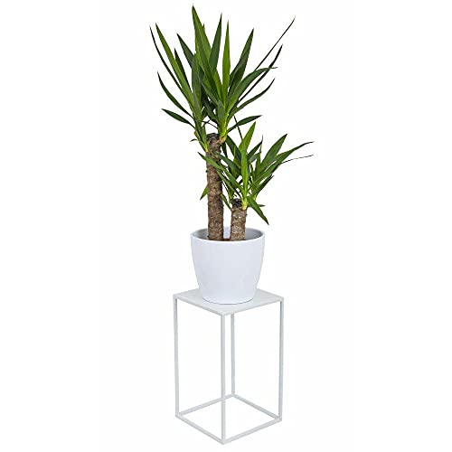 HowHomely Blumenständer Metall Weiß 40 cm Hoch - Solider und Robuster Blumenhocker Metall - Pflanzenständer für die Dekoration in Wohnzimmer Schlafzimmer oder Büro