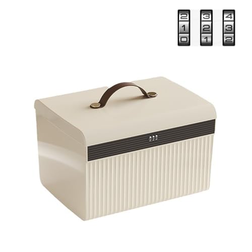 Aartner Scatola richiudibile, a doppio strato, stabile, con chiusura a chiave, in polipropilene, con coperchio, serratura, scatola per chiusura, per vestiti, medicinali e giocattoli (28 x 21 x 18 cm)