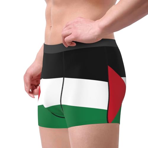 Flag of the State of Palestine Men's boxer briefs - suitable for business, sports and leisure, multiple4