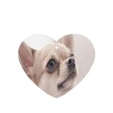 Carte de désodorisant parfumée à la lavande avec imprimé Chihuahua, convient pour les voitures, chambres, armoires, armoires à chaussures