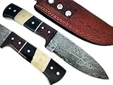 Poshland Price Reduced - BC-T-055 - Custom Handmade Damascus Steel Knife- Beautiful Knife