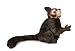 Hansa Aye Aye 8" Plush