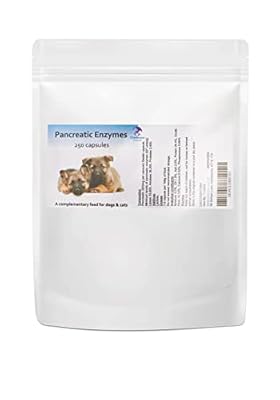 Pancreatic Digestive Enzyme Capsules for Dogs & Cats - Digestive Support | 250 Capsules - Chemeyes