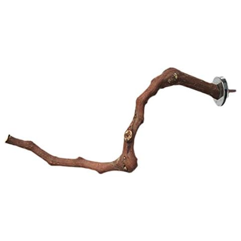 Grust Bird Perch Toy Wild Grape Wood Natural Perches for Birds such as Budgies, Canaries, Natural Wooden Sticks for the Bird As Important Bird Accessories in Bird Cage Accessories Cover