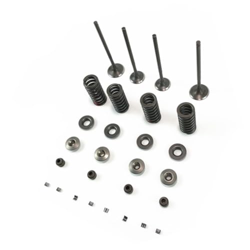 Siège à ressort et joint d'huile ZS177MM pour réparer le moteur NC250