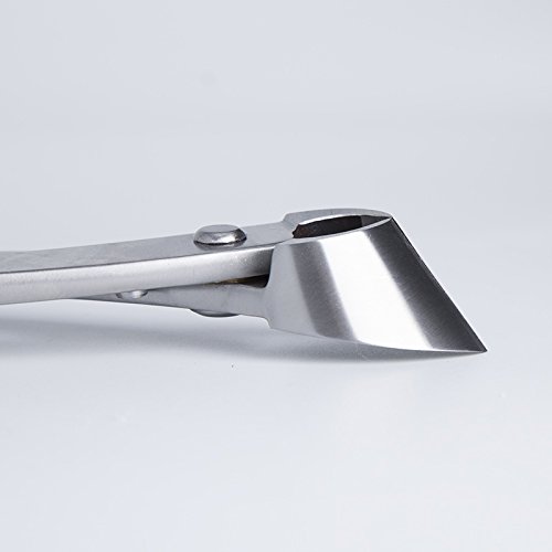 Professional grade bonsai tools branch cutter straight edge stainless steel 280mm (11-1/8