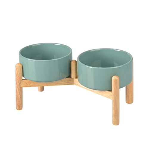 SPUNKYJUNKY Tigela de cerâmica para cães tigela elevada para comida e água com suporte de bambu para cães médios e grandes, 850 ml, verde escuro)
