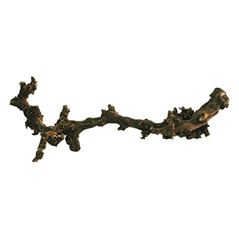Lucky Reptile DLD-L Dark Grapevine, Large Cover