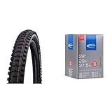 Schwalbe