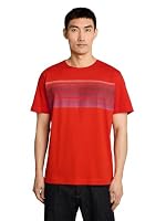 TOM TAILOR – TOM TAILOR Herren T-Shirt