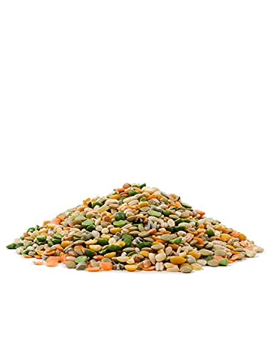 Vegi Soup Mix, 28oz (Pack of 1) - Non GMO, Vegan, Kosher