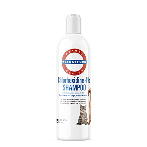 Top 10 Best Chlorhexidine Shampoo For Dogs Reviews & Buying Guide