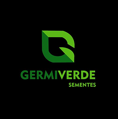 1.000 Sementes De Murta P/ Mudas De Cerca Viva