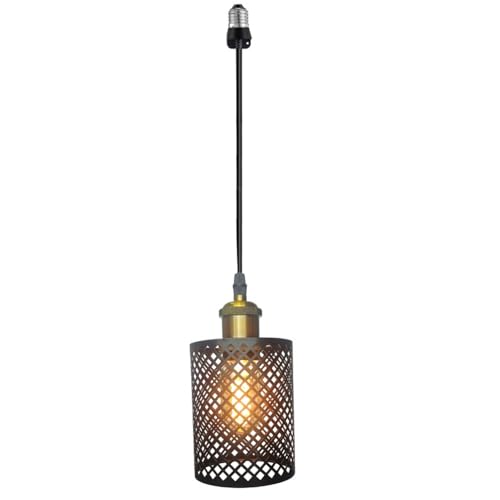 DWYHTD Screw in Hanging Light Fixture Instant Pendant Light Recessed Light Conversion Kit with E26 Screw-in Adapter for Bedroom Living Room & Kitchen Island Lighting (Farmhouse)